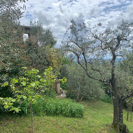 Podere Casallorto Volterra Ngoại thất bức ảnh
