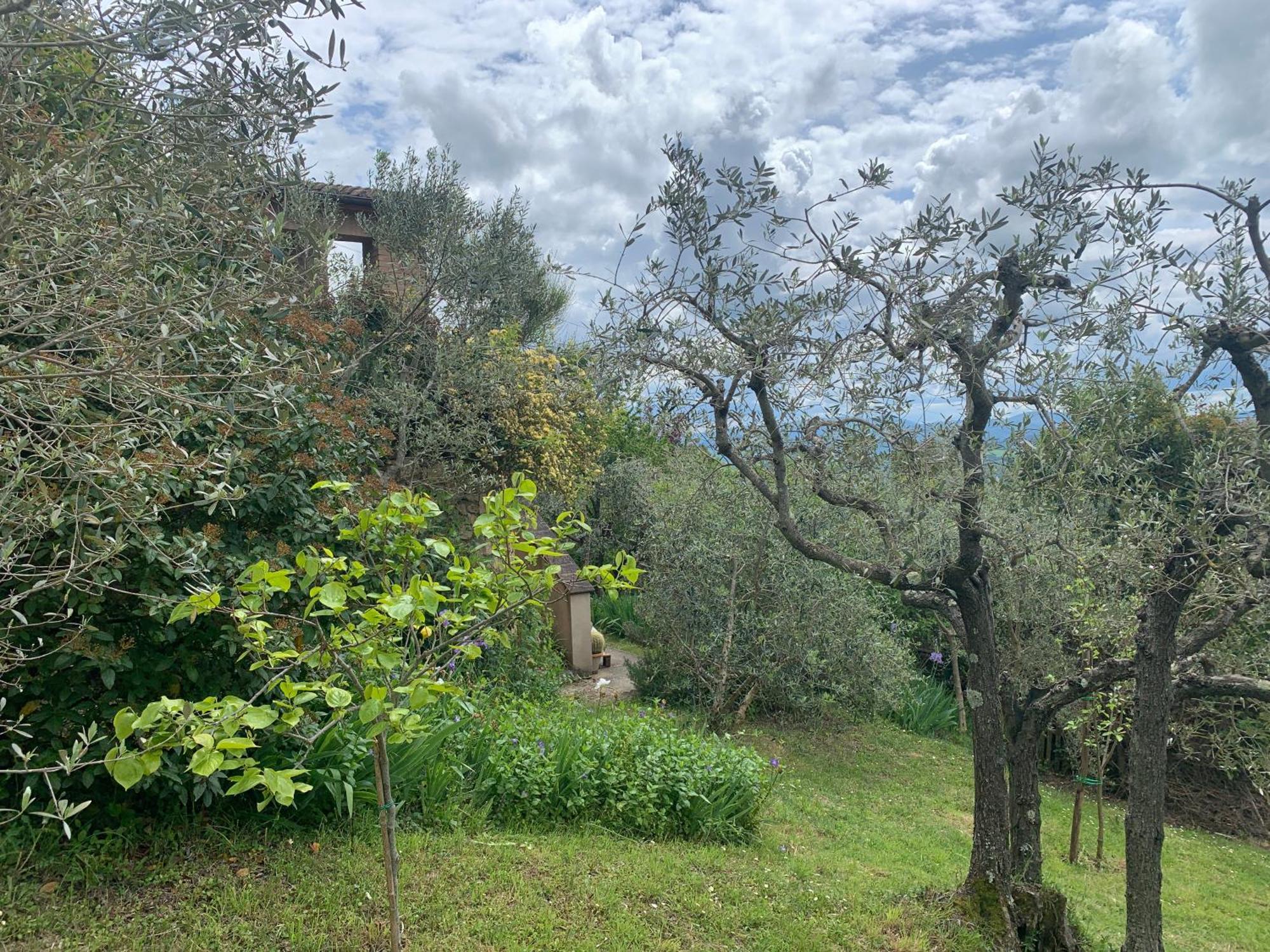 Podere Casallorto Volterra Ngoại thất bức ảnh